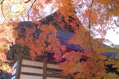 綾部安国寺ＮＯ２