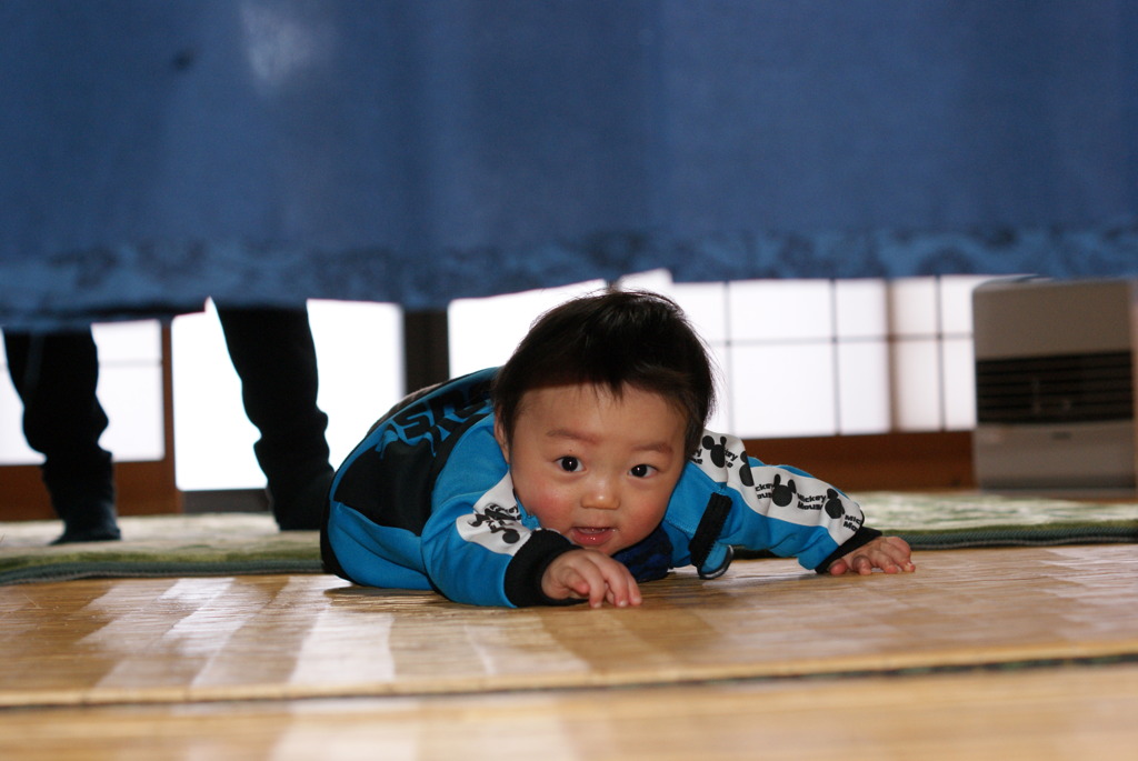のれんの下から見たものは・・・・