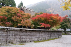 かやぶきの屋根と紅葉