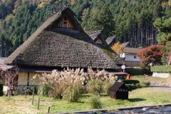 すすきとかやぶきの屋根