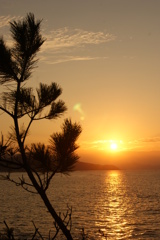 夕日