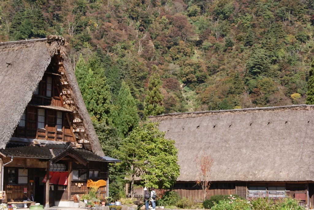 五箇山・菅沼合掌集落