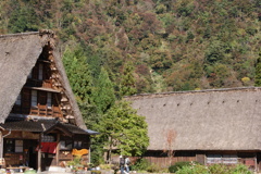 五箇山・菅沼合掌集落