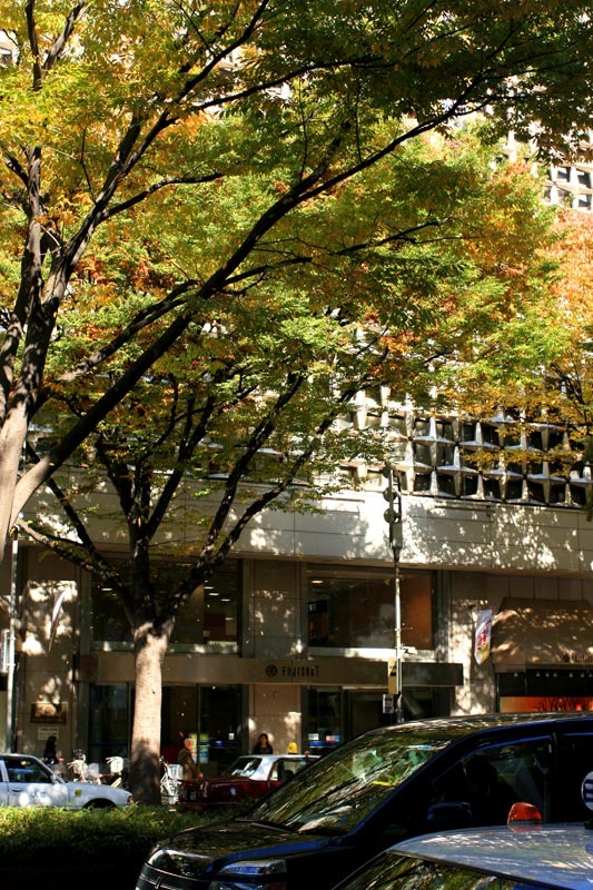 藤崎百貨店