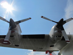 そこに翼がある限り