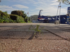 何勝手に撮ってんだよ～