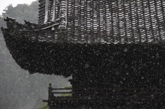 雨が降る