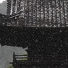 雨が降る