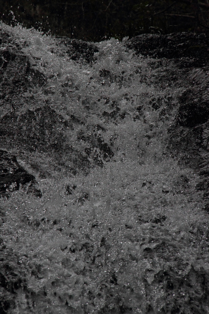 ぞわぞわ　　蠢く