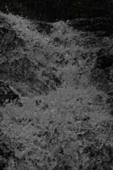 ぞわぞわ　　蠢く