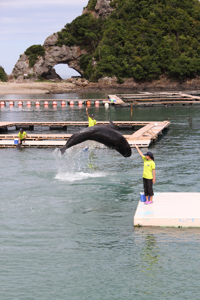 クジラもジャンプ