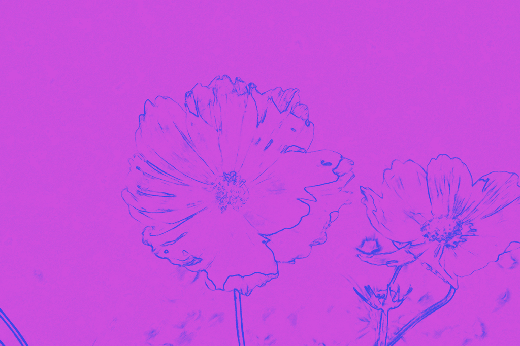 冬にも花を
