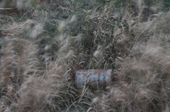 錆びついたドラム缶