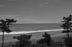 one day in early summer
