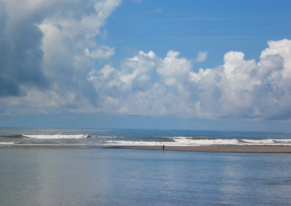 夏の海