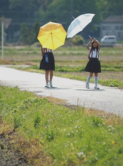 雨上がり