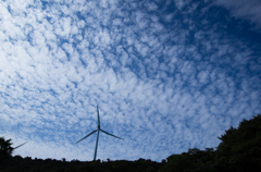 風力と空