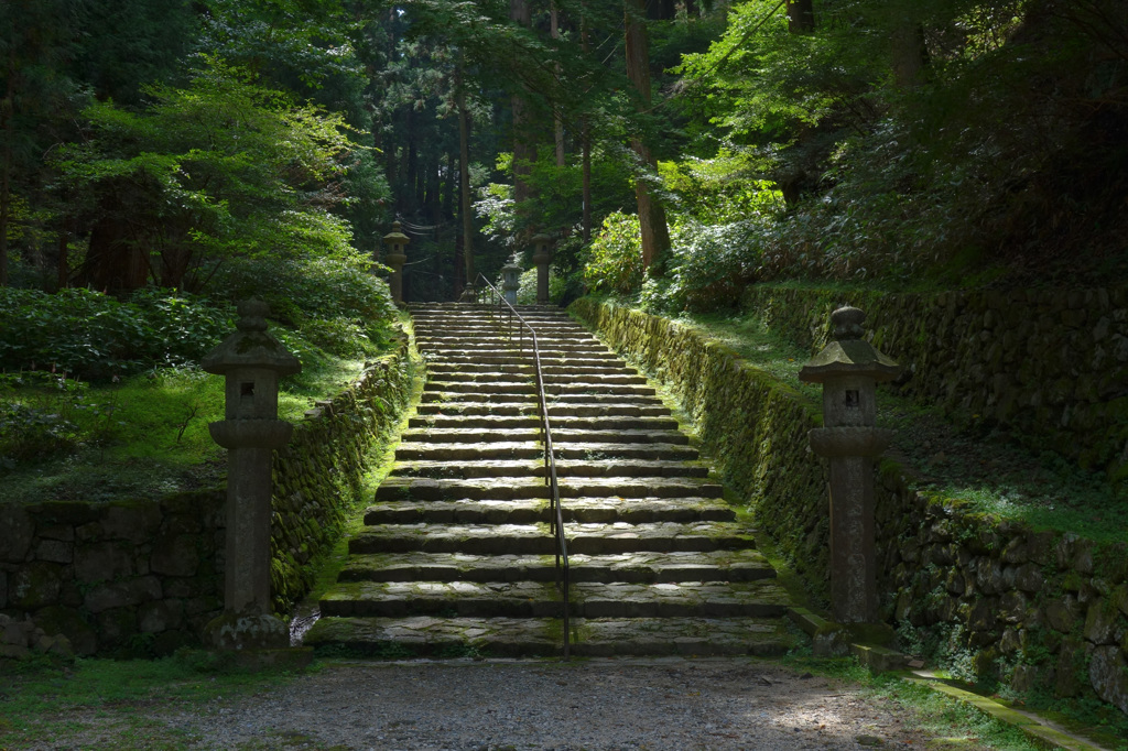 緑の静寂