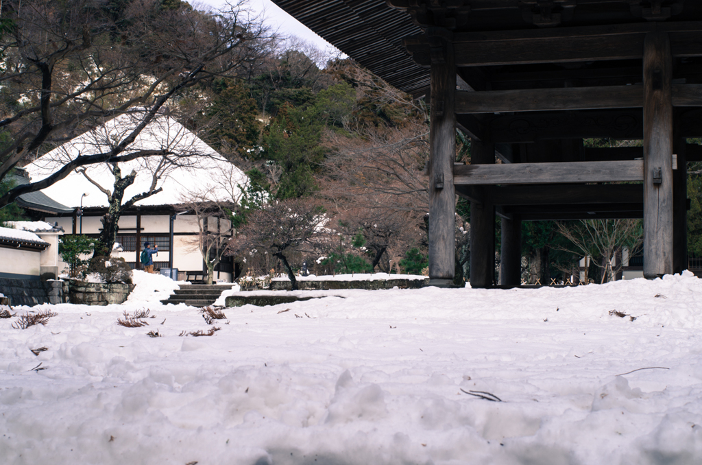 大雪の次日
