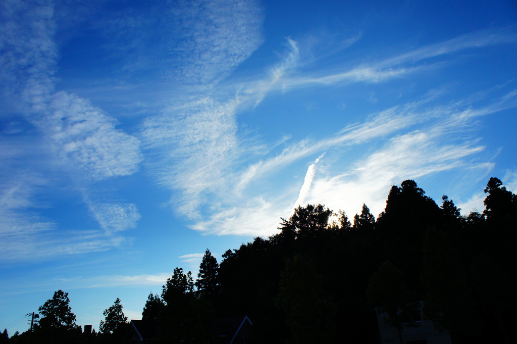 DSC00964