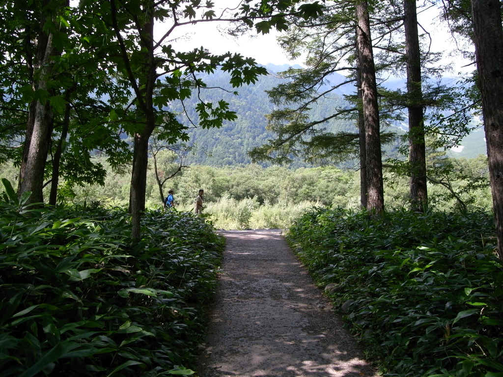 トンネルを抜けたら