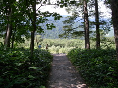 トンネルを抜けたら