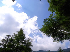 お空