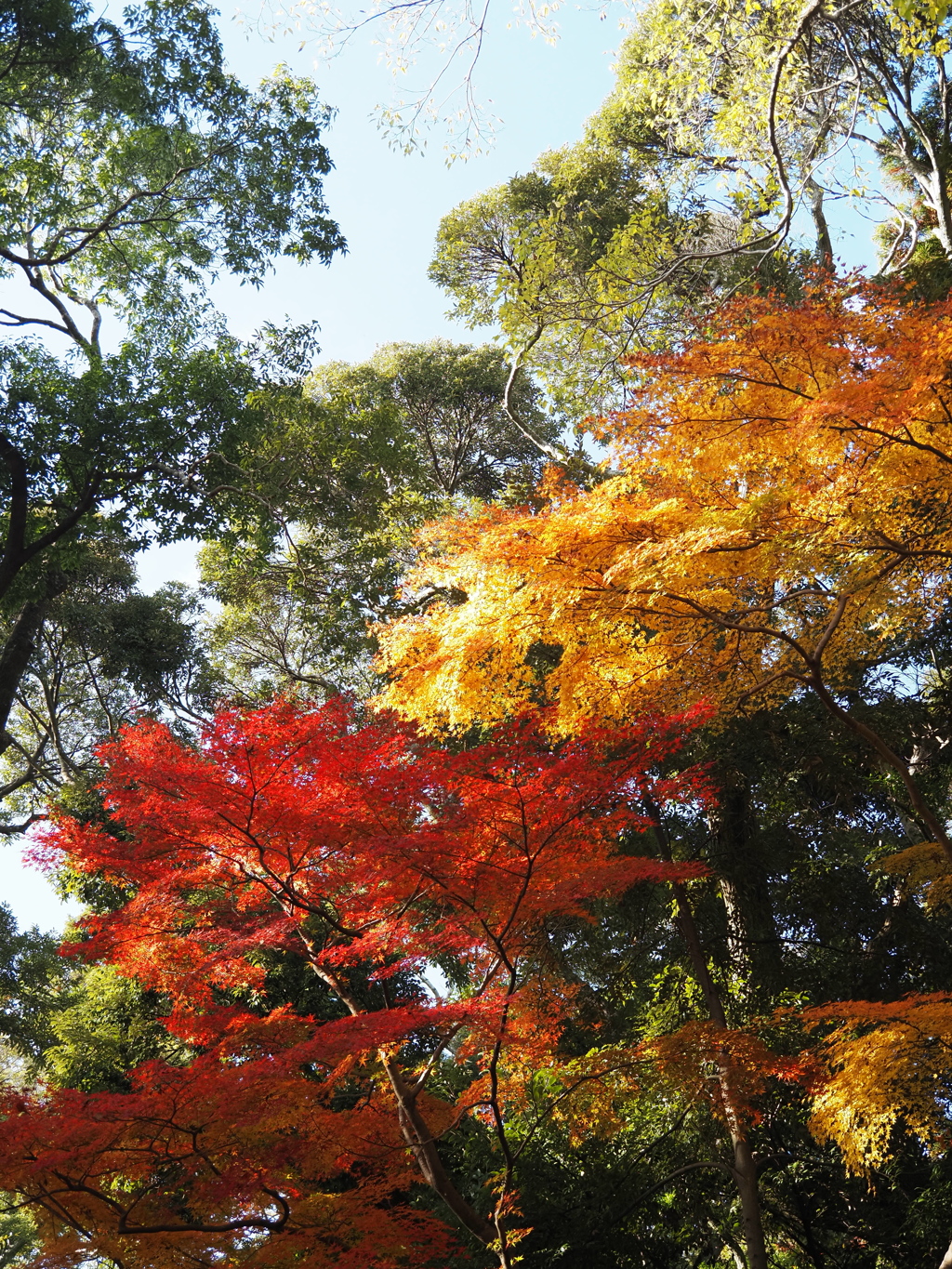 季節の移ろい詰めました。
