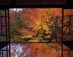 窓辺にそっと重ねた紅葉