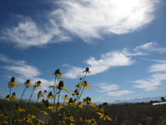 秋空