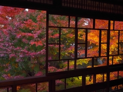 秋色が染める座敷