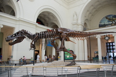 Chicago Field Museum