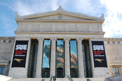Chicago Field Museum
