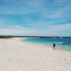 Galapagos Island