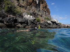 Galapagos Island