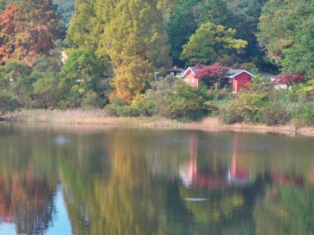 ムーミン谷遠景