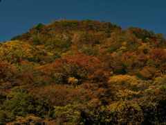 紅葉の山