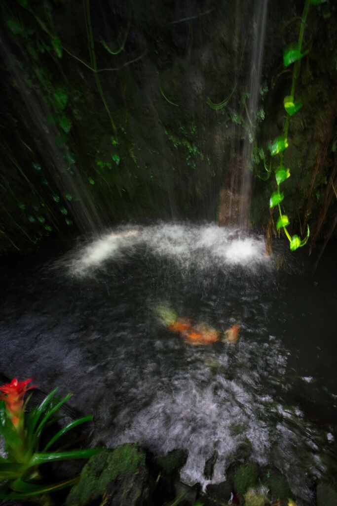 温室の滝