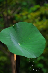水垂れる
