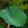 水垂れる