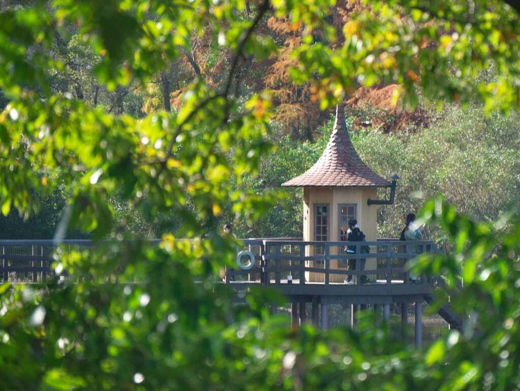 ムーミン谷　木の間から水浴び小屋
