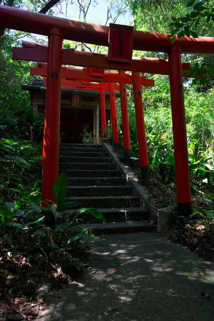 緑陰の鳥居