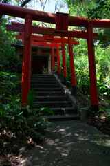 緑陰の鳥居