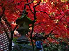 大雄山最乗寺