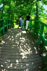 緑陰の橋