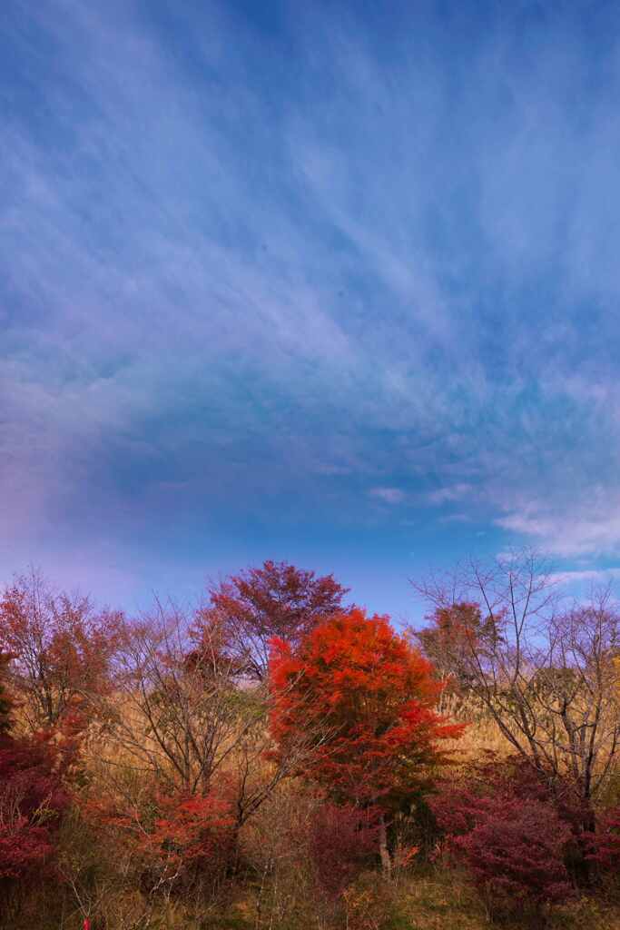 秋空