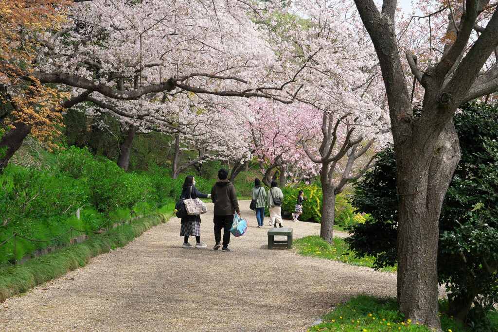 花咲く小径