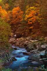 紅葉から流れ出る