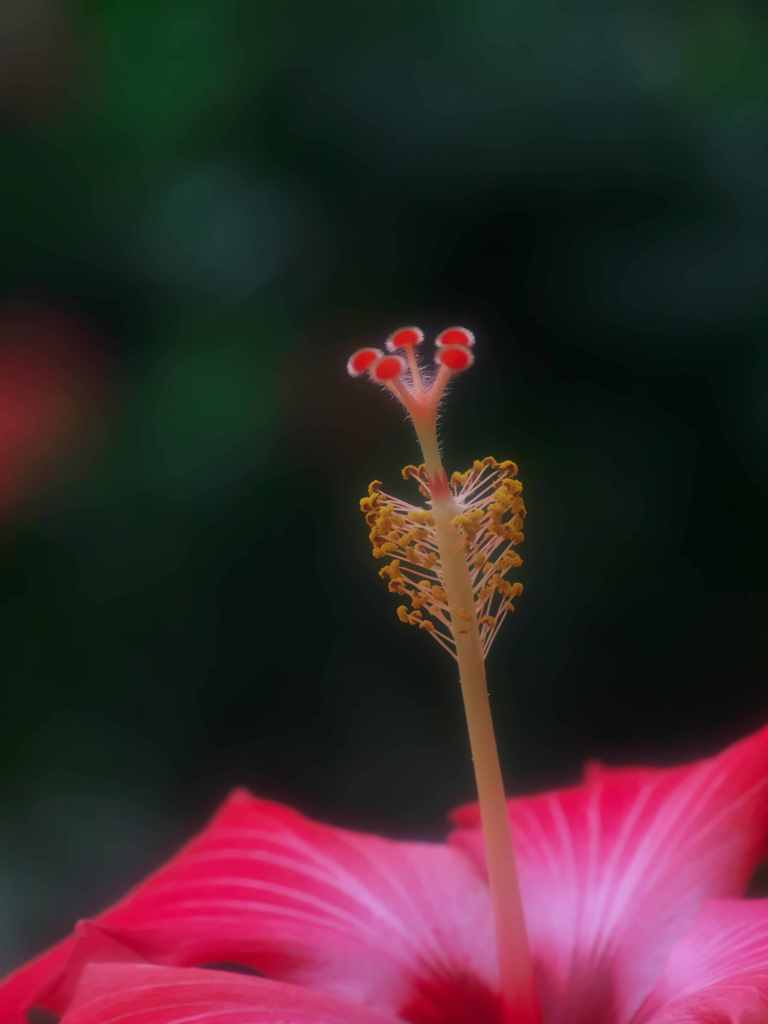 上に伸びる