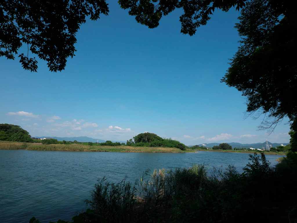 夏の思い出